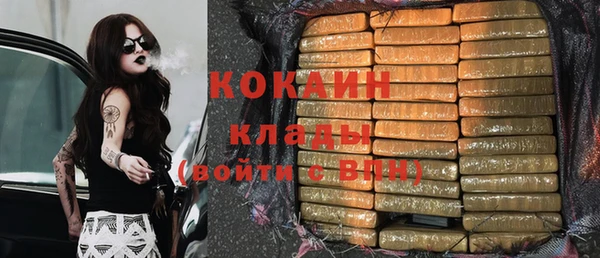 ПСИЛОЦИБИНОВЫЕ ГРИБЫ Медвежьегорск